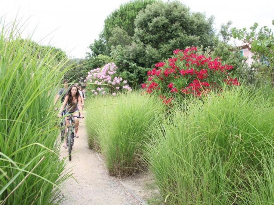 גרימו Les Restanques Bougainvillee 2051 מראה חיצוני תמונה